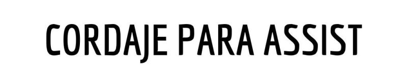 CORDAJE PARA ASSIST