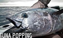 TUNA POPPING