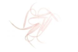 Needle de Bait Breath ⭐ Señuelos de vinilo ajing pesca