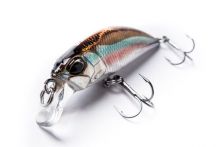 DUO Spearhead Ryuki 45S ⭐ Señuelo minnow trucha y rockfishing