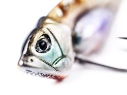 Trago Vib - Metal blade lure by Molix